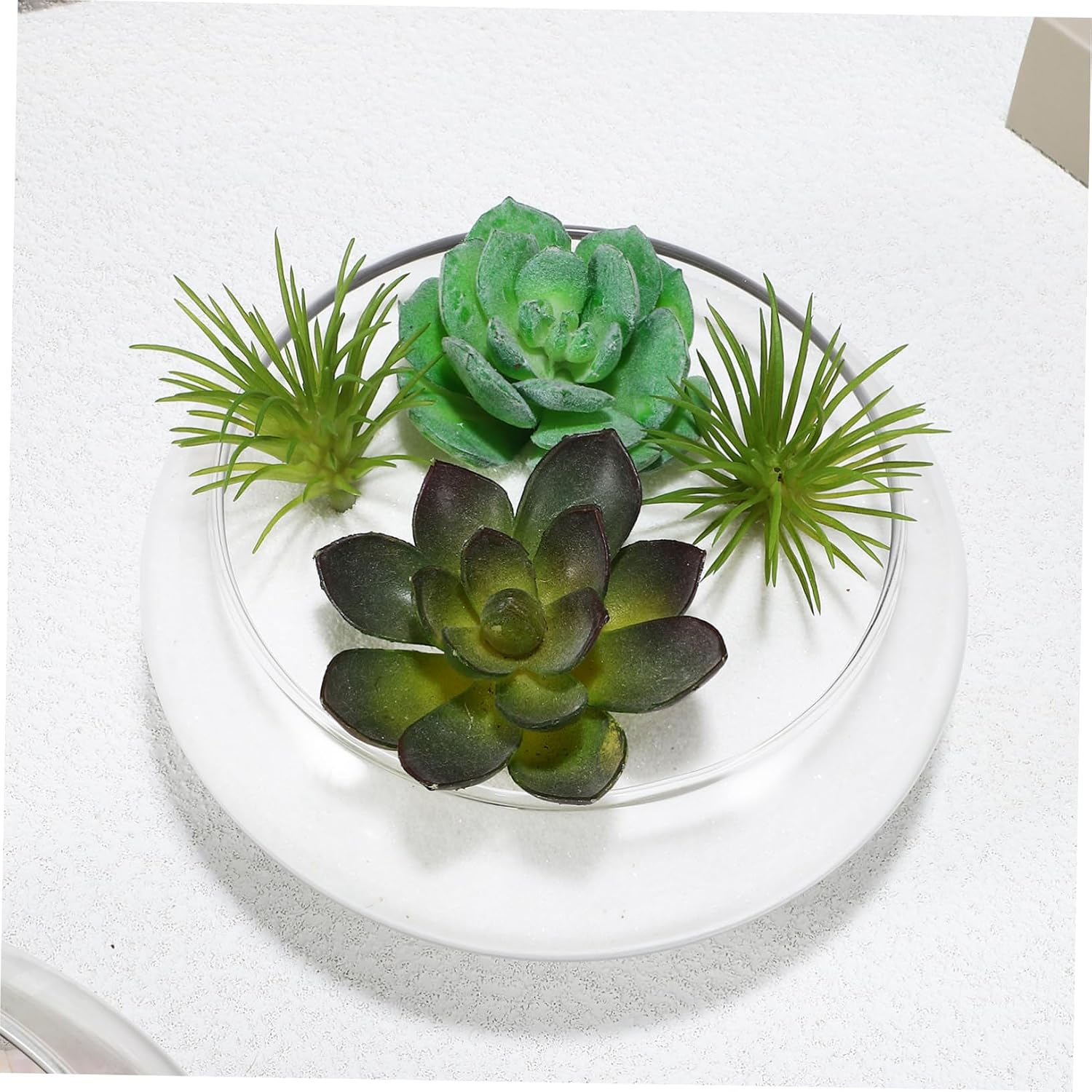 TOYANDONA 2 Pcs Glass Fish Bowls Multi Functional Transparent Round Terrarium Bowls for Flower Hydroponic Plant Pots Table Centerpieces Space Saving Home Decor
