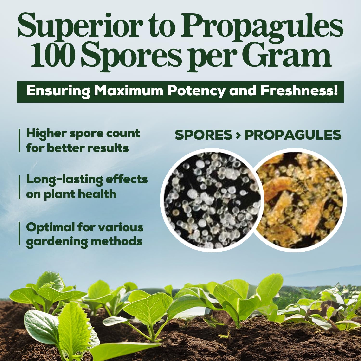 Mycorrhizal Fungi Organic Root Enhancer for Plants, Super Potent 100 Spores Per Gram, 5-Strain Blend, Rapid Results for Gardens, Houseplants, Lawns, Mycorrhizae Smart Grower 500 Grams for 500 Plants