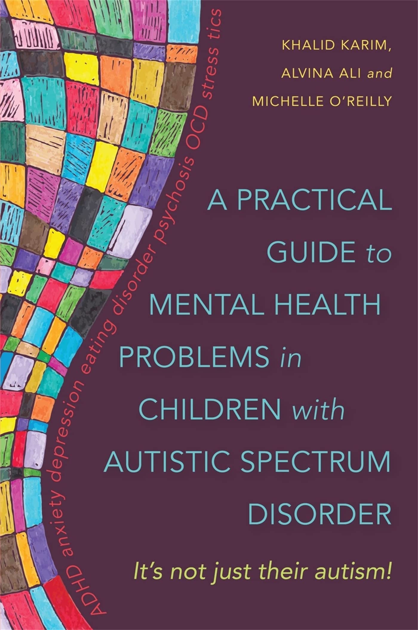 A Practical Guide to Mental Health Problems in Children with Autistic Spectrum