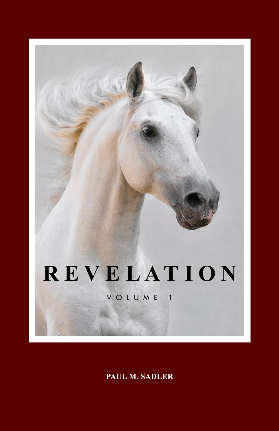 Revelation, Vol. 1 Paul M. Sadler 9781893874398 Books