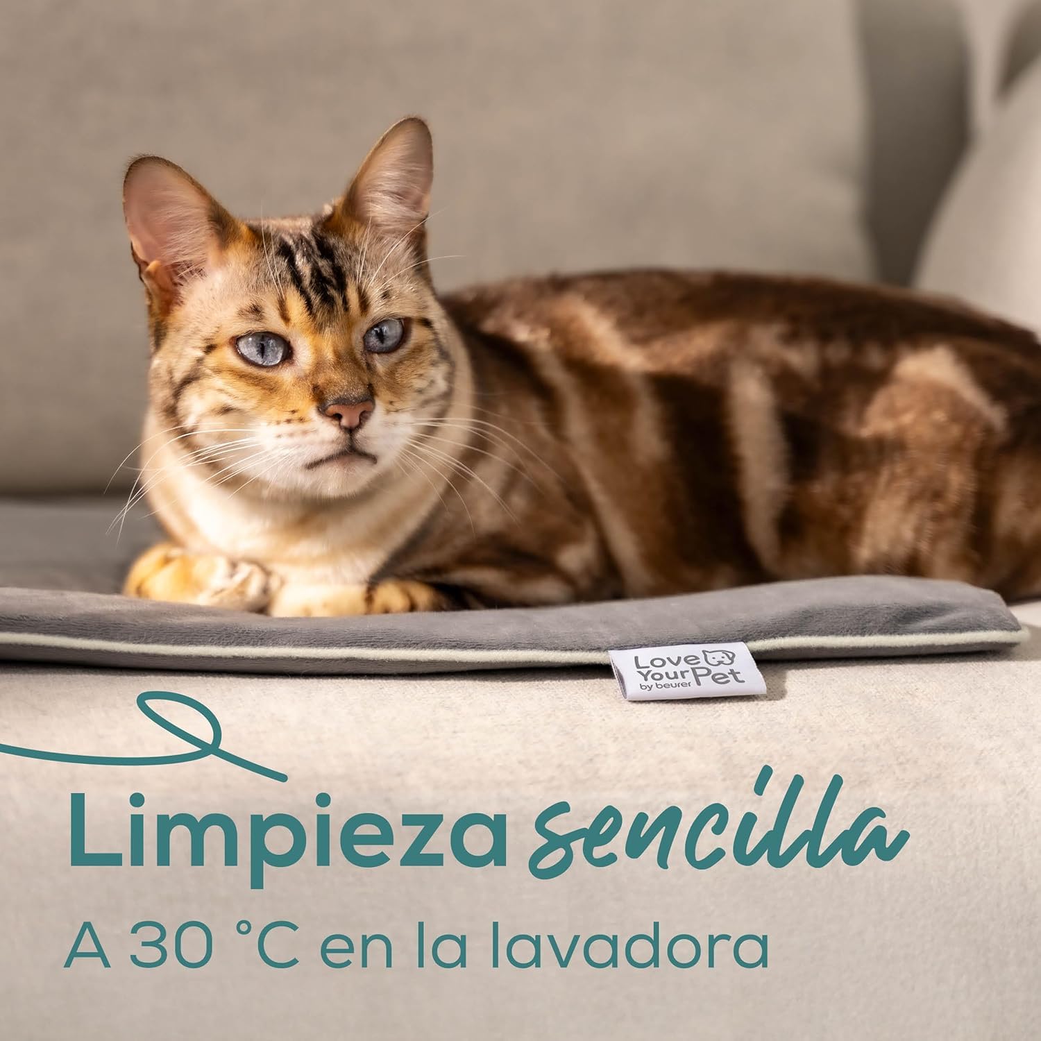 Beurer Love Your Pet Colchoneta térmica Talla L «Sammy» de para Perros y Gatos, con Temporizador, Grande, Almohadilla eléctrica XXL Lavable a 30 °C, Resistente a los arañazos y el Agua, 65 × 50 cm