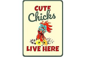Chicken Coop Signs - Cute Chicks Live Here - Funny Outdoor Chicken Coop