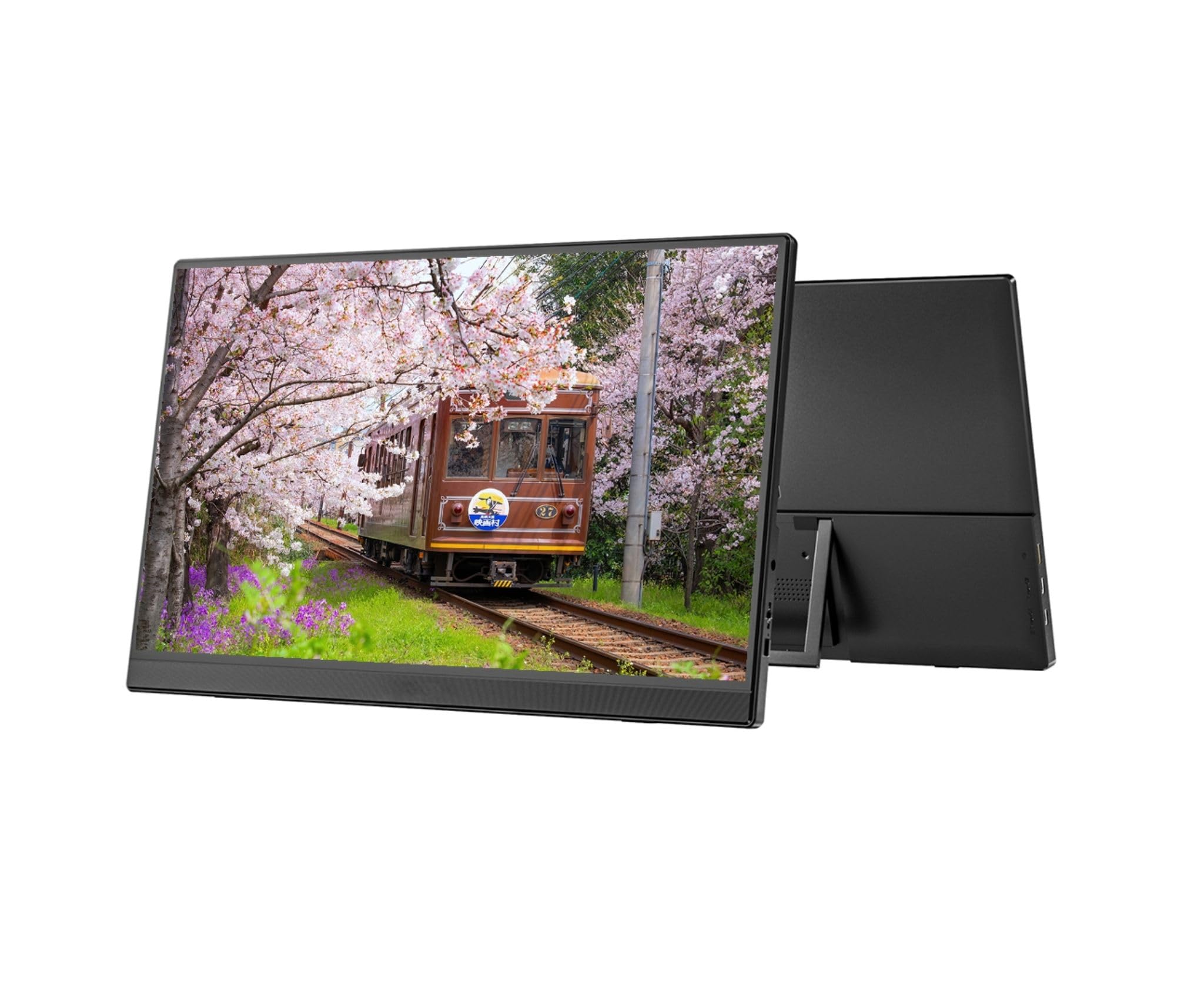 JAPANNEXT Ecran Portable 15.6" IPS Full HD (1920x1080)