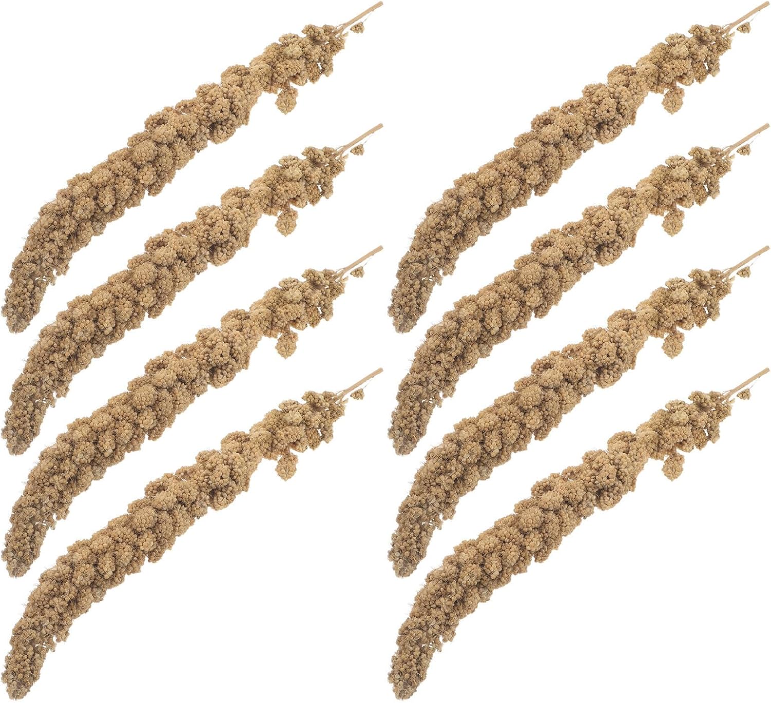Millet Bird Treat for Parakeets and Finches Snack Food | Dried Millet Clusters, Natural Ingredient Reward, Easy Cage Setup, 500g Pack