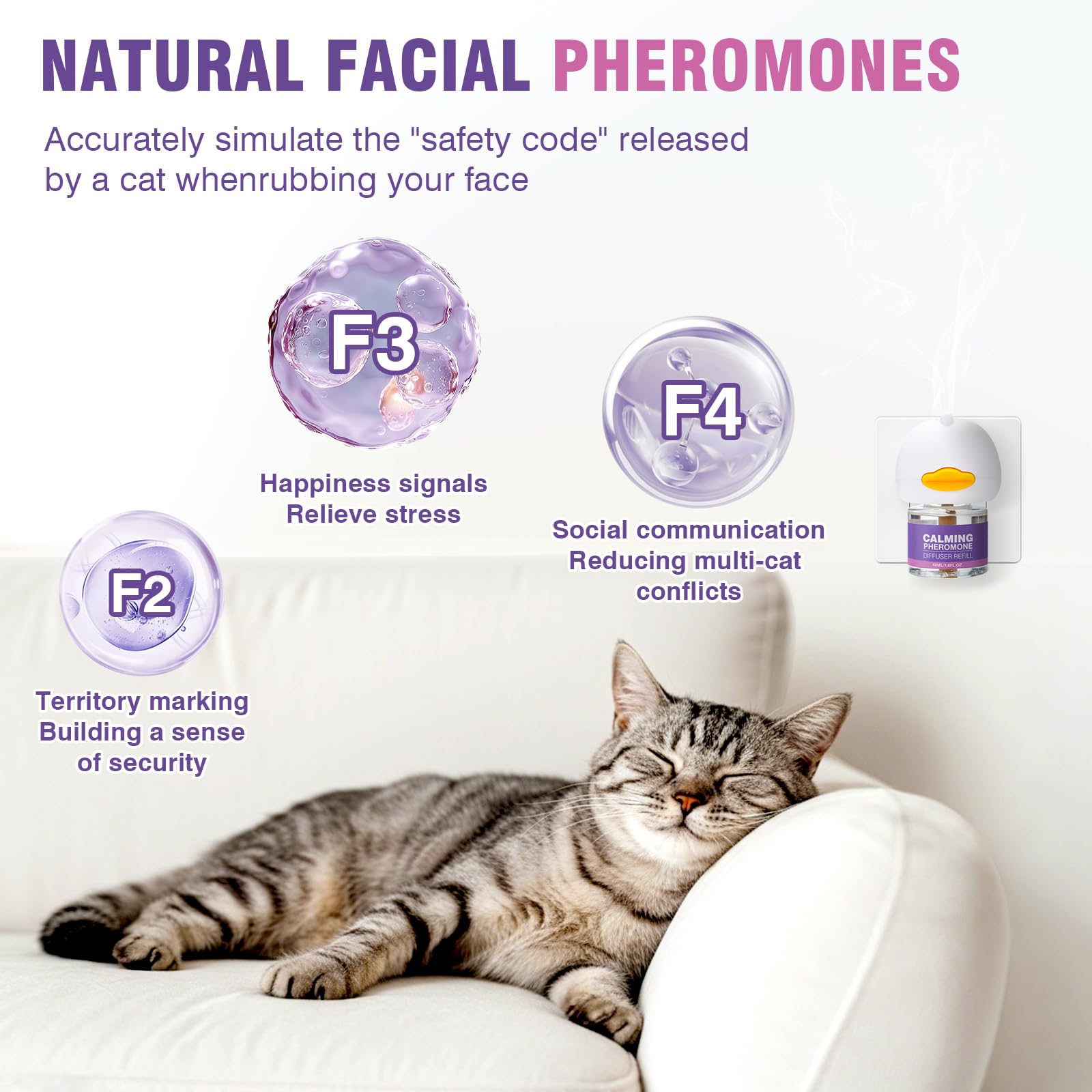 Cat Calming Pheromone Diffuser Refills 4 Pack Anxiety and Stress ...