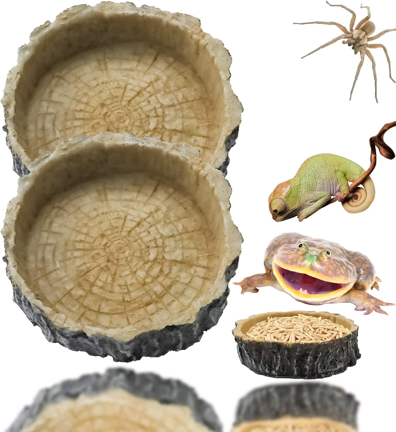 LeonBach 2 Pcs 4" Reptile Bowls, Reptile Water Bowl Feeding Dish Food Bowl for Parakeets Young Bearded Dragons Small Snakes