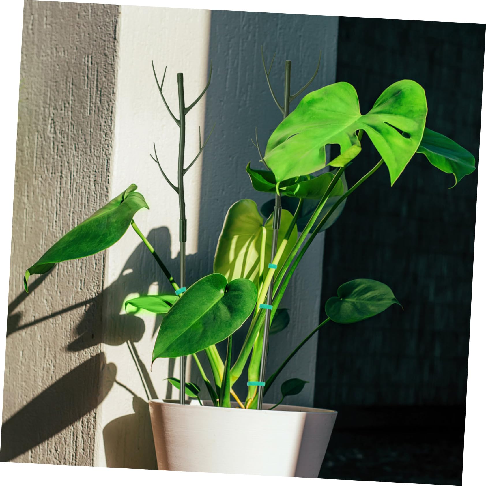 ifundom Lot de Tuteurs pour Plantes Grimpantes en Plastique Vert, 1 Set, Clips et Liens, pour Jardin et Intérieur, Support Stable et Extensible