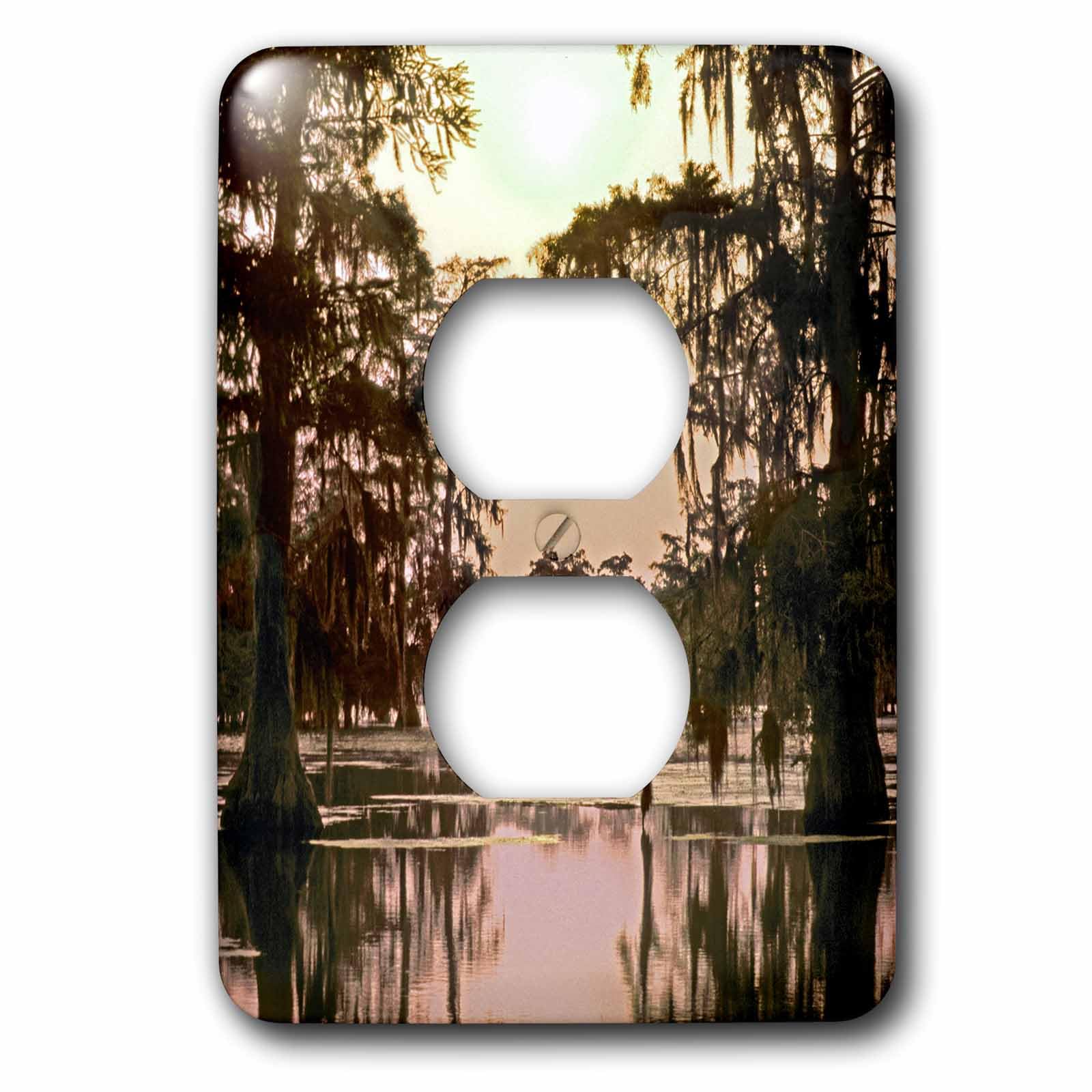 Atchafalaya Basin cache-prise design pour sublimer votre décoration de salon