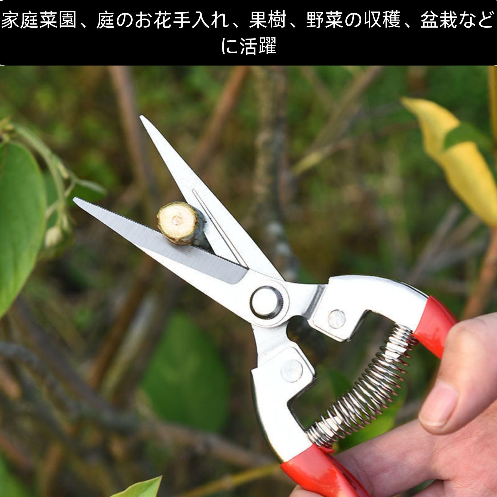 Amazon | HOTQ 剪定バサミ 盆栽剪定用具 花切りはさみ 剪定はさみ長い