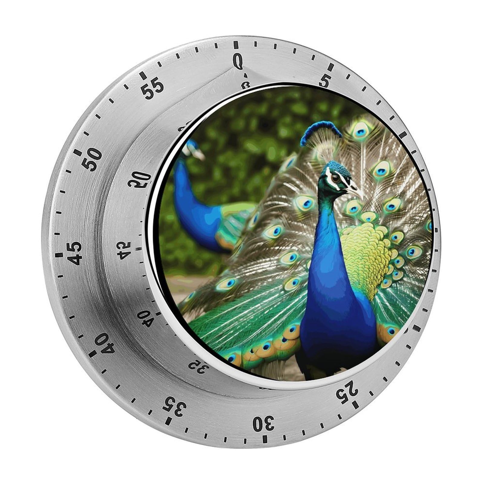 Beautiful Peacock Timer Exquisite Stainless Steel Body Mechanical Desk Timers 60 Minutes Visual Countdown Timers with Magnetic Backing Loud Alarm Kitchen Timer for Cooking