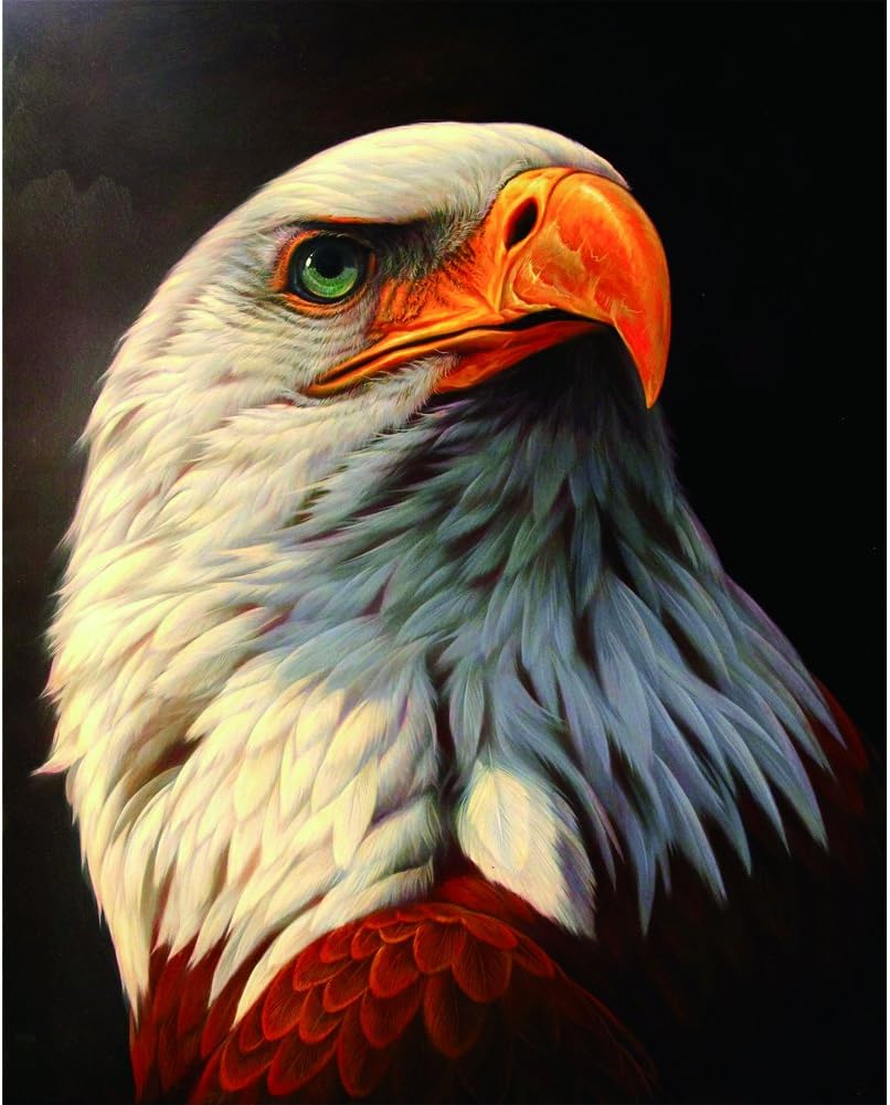 Chinatera 5d DIY Diamond Painting White Eagle Paint by Number Kits Wall Sticker 2530cm