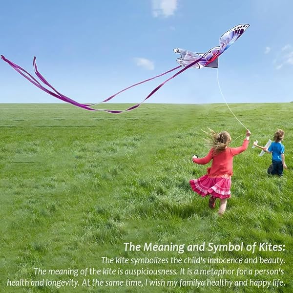 VLEDARLING Aquilone Farfalla per Bambini e Adulti,Aquiloni Farfalla,Aquilone Butterfly,Stringa Aquilone 100m,Aquiloni Colorati Facili da Far Volare,Aquiloni a Linea Singola per Bambini dai 3Anni in su - 5