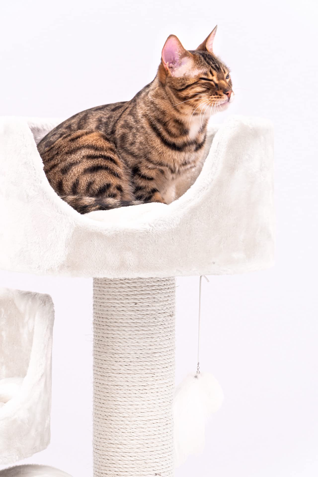 Petrebels Kratzbaum Platzsparend Victoria 125, auch ideal für senioren Katzen, Katzenbaum mit Sisal-Kratzstämmen 12 cm, Höhle, Liegemulden & Spieltunnel, Stabiler Katzenkratzbaum in Creme