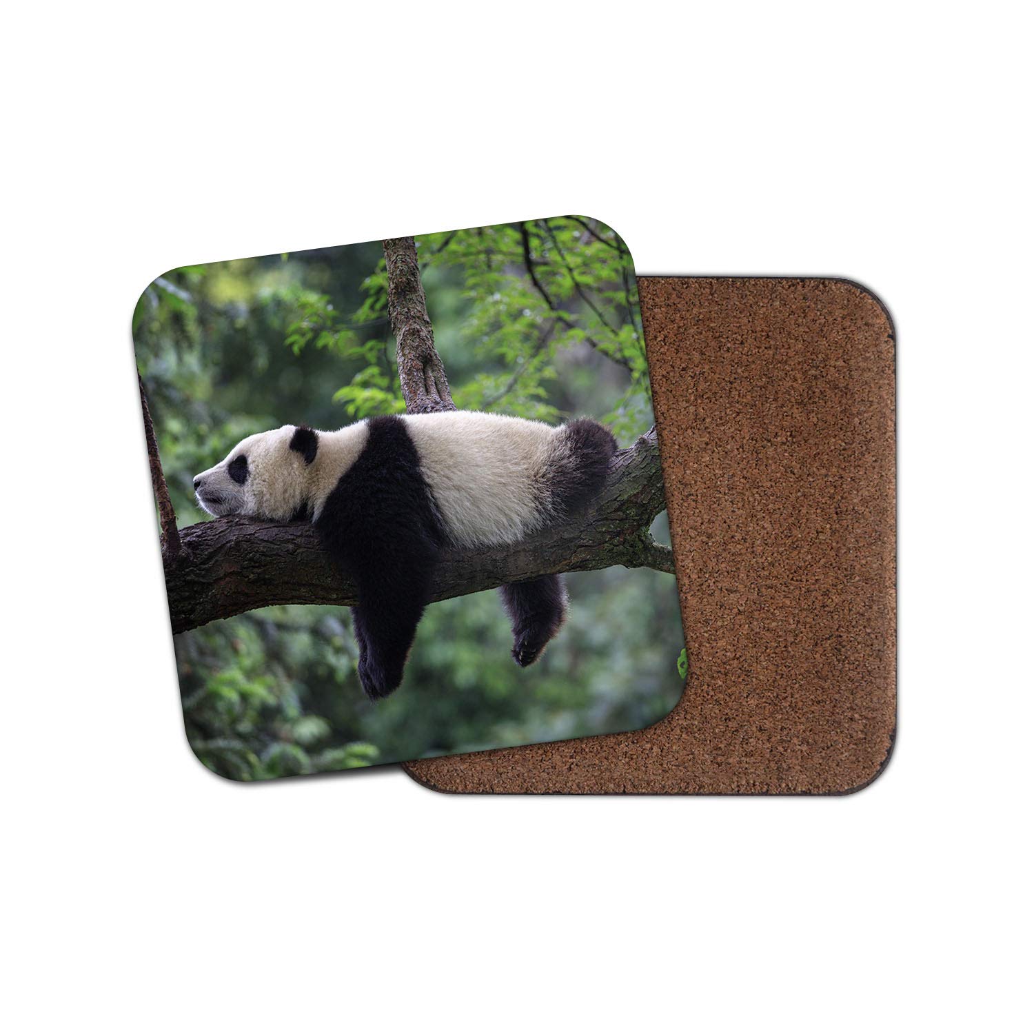 Destinationvinyl Multicolor 1 X Lazy Panda Bear Coaster - China Wild Jungle Cute Bears Animal #14849