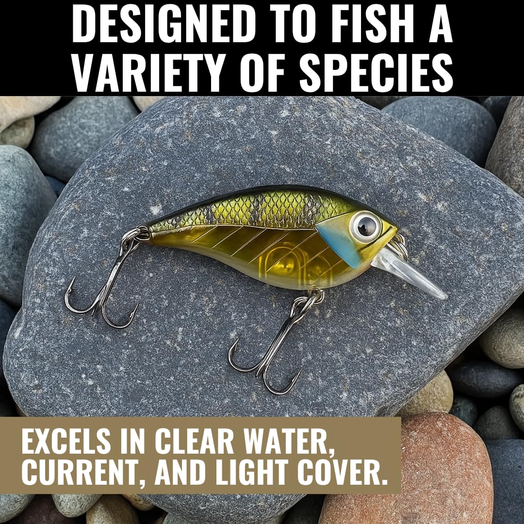 bass smasher jolt lure Amazon.com : Lunkerhunt Impact Jolt | Crankbait, Deep Diving Hard Bait  Fishing Lure