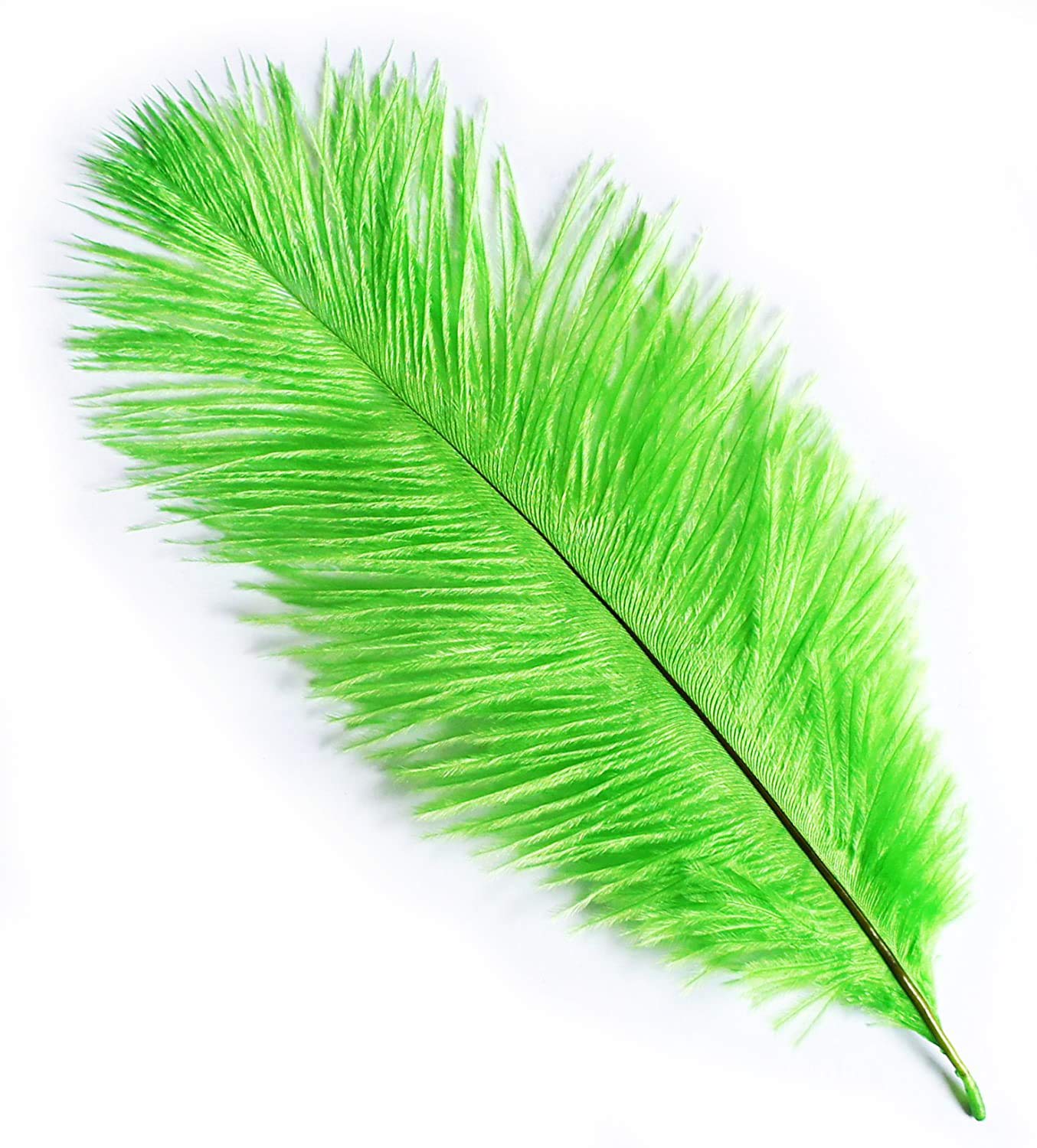 Plumes d'autruche vertes pour redonner du volume à un vase vide