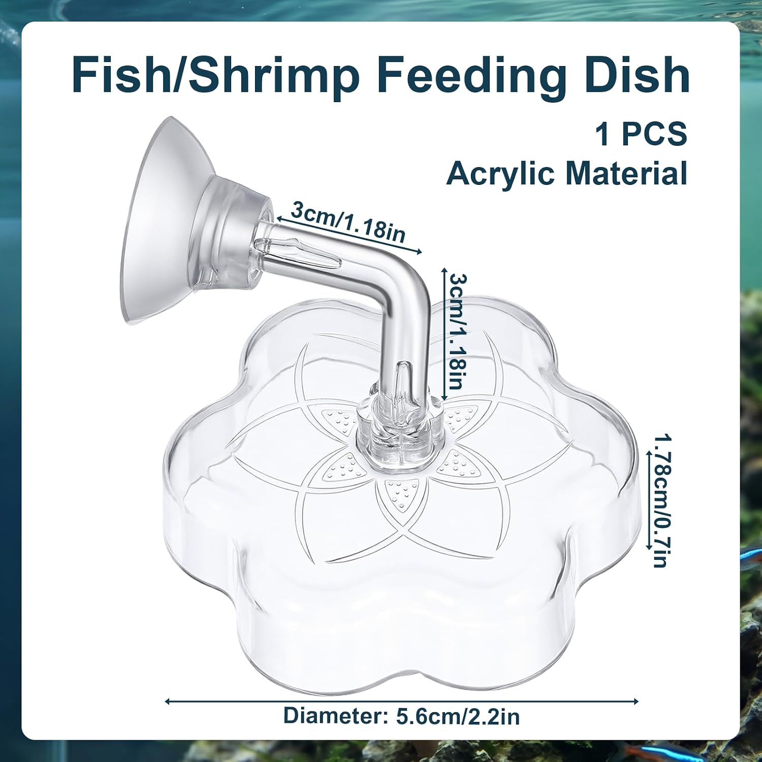 Aquarium Shrimp/Small Fish Feeding Dish, Shrimp Feeding Dish Magnolia Aquarium Shrimp Feed Dishes Acrylic Fish Tank Feeder Dishes Mini Freshwater Tray Feeder with Suction Cups, Clear image 2