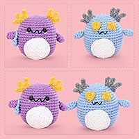 Vista 2 de Kit de ganchillo para principiantes: kit de ganchillo de 2 piezas, crea el primero, incluye gancho, hilo suave y accesorios, manualidades