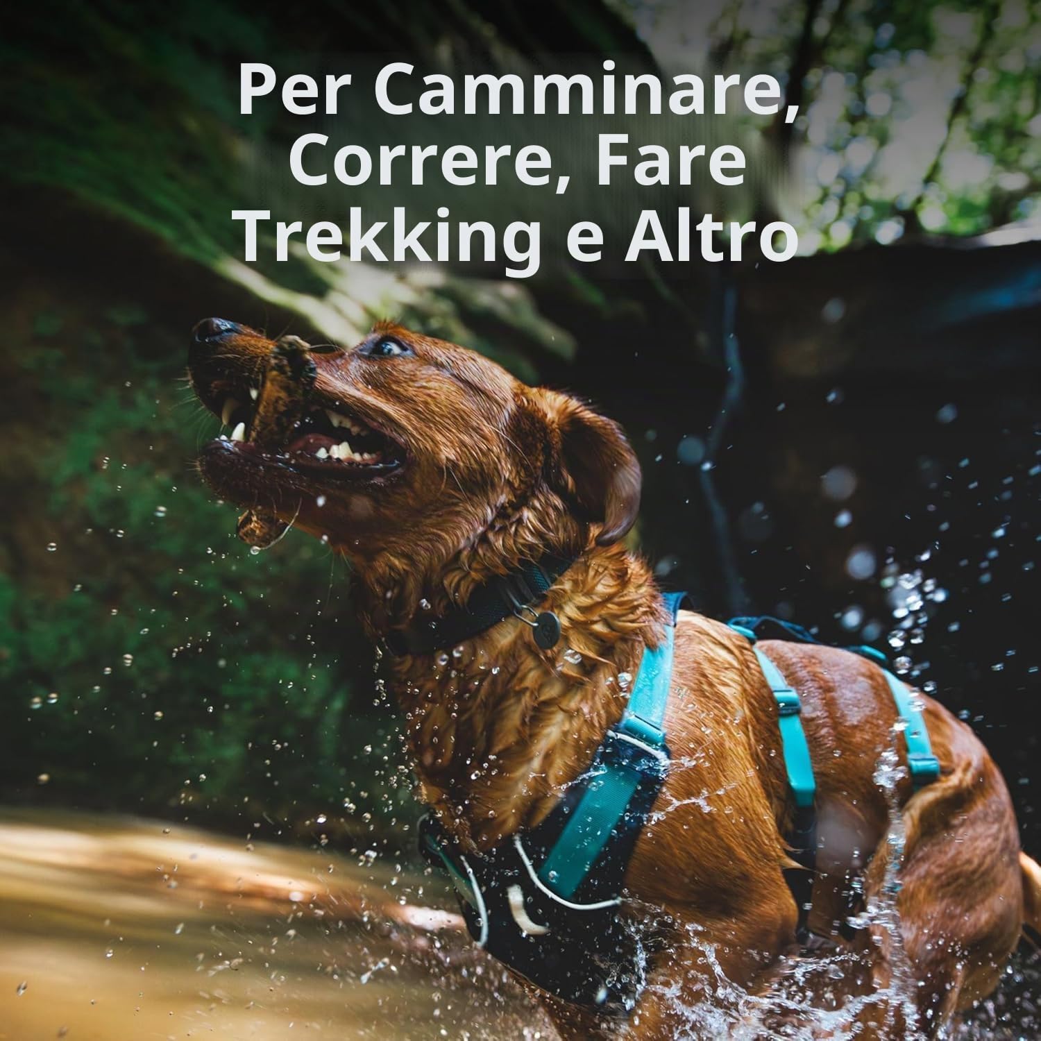 RUFFWEAR, Pettorina Flagline
