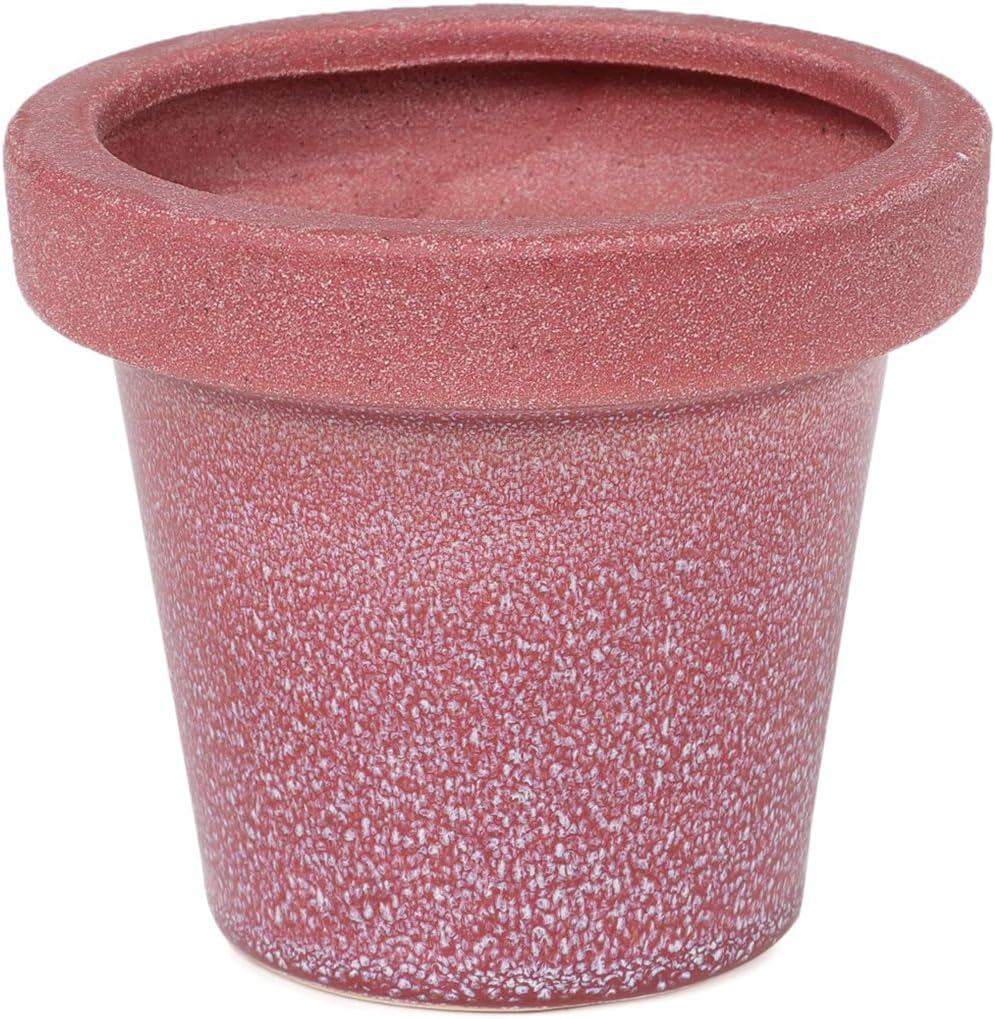 Chumbak Dazzling Blossom Planter - Red