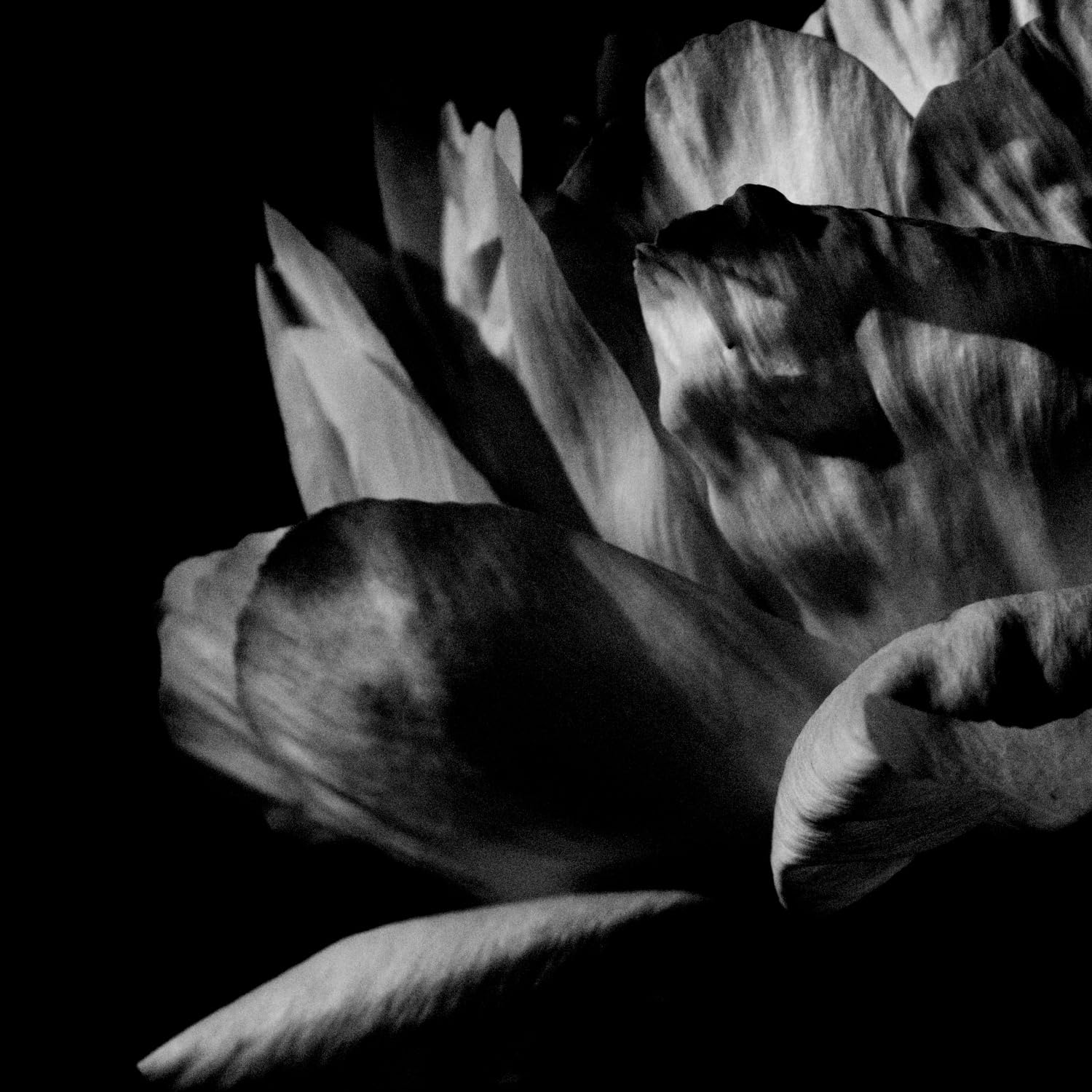 La ou passe la nuit