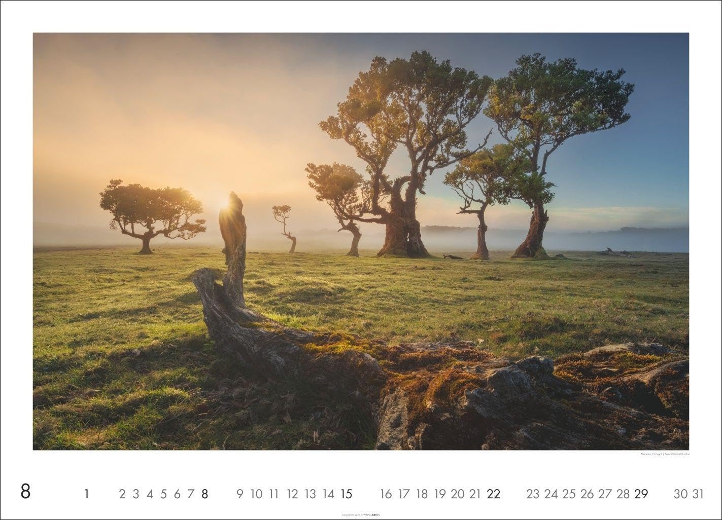 Die Erde Kalender 2027: Die schönsten Seiten unserer Welt in einem Naturkalender voll atemberaubender Fotos. Wandkalender 2027 im Format 68 x 49 cm