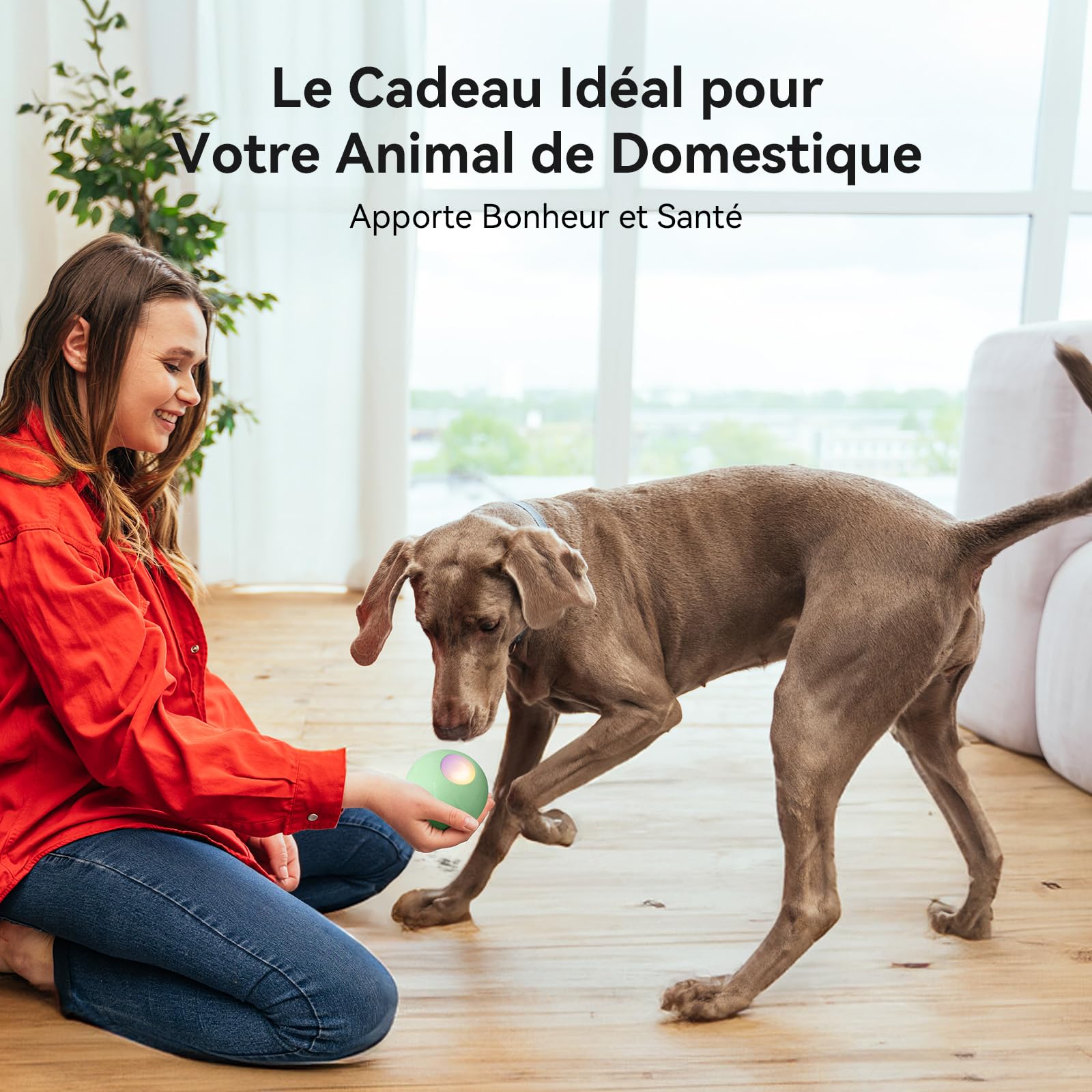 Cheerble Jouet Chien Interactif, Balle Rebondissante Chien avec 3 Modes d'Interaction, avec Lumières LED, Rechargeable par DC (Vert)