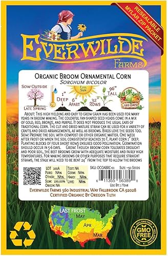 Miniatura 2 de Everwilde Farms - 50 semillas de maíz ornamentales de escoba orgánica - Paquete de bóveda dorada