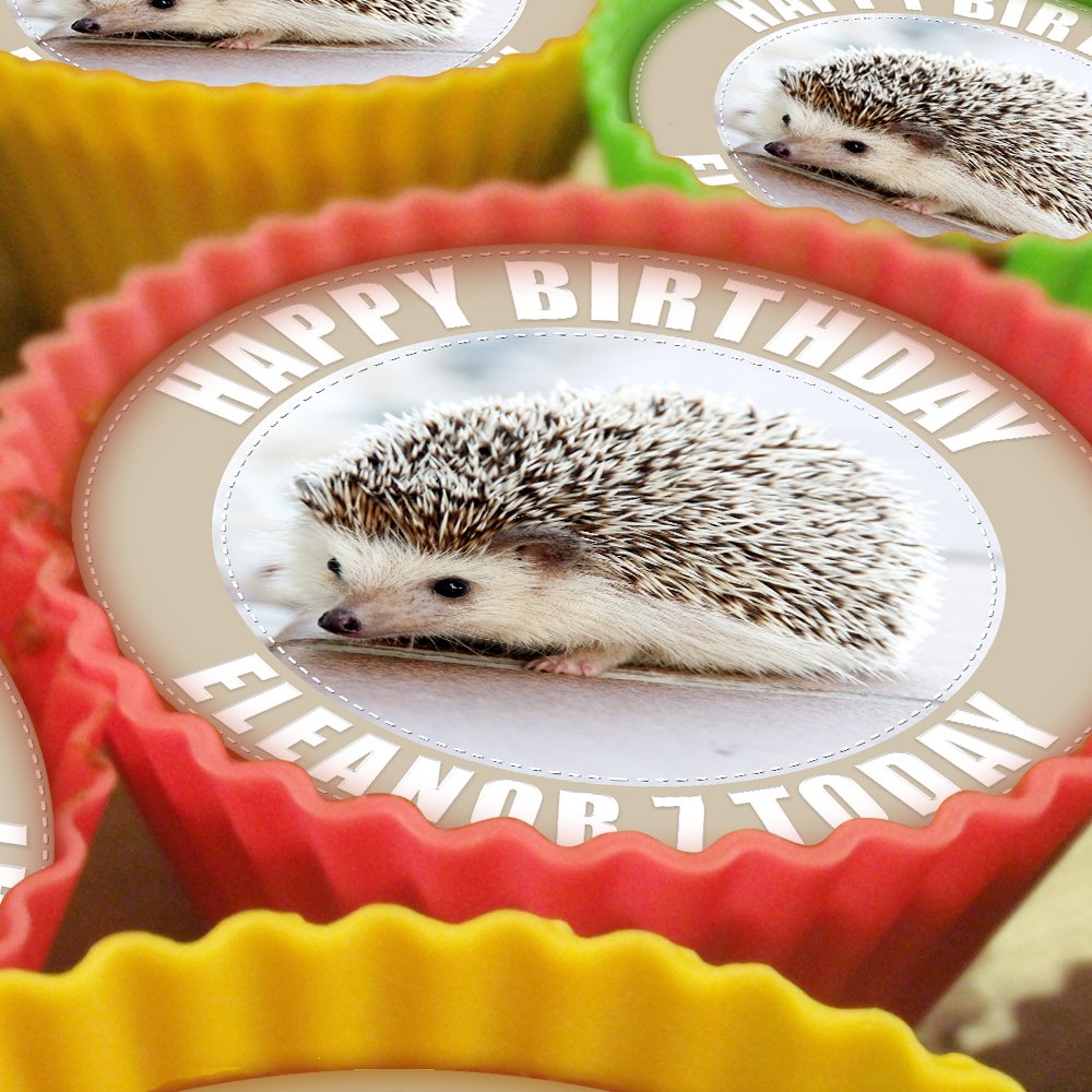 20 x Personalised Hedgehog 5cm High Resolution Cupcake Toppers
