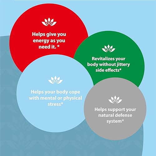 Miniatura 4 de Sun Chlorella Sun Wakasa Gold Plus Superfood Supplements Bebida Potente defensa inmunológica de todo el cuerpo, impulso de energía y salud