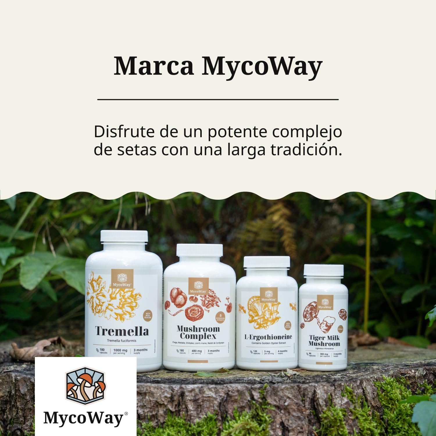 Tremella 1000 mg – Extracto – Tremella Fuciformis – 180 cápsulas vegetales – 10% de betaglucano – «Hongo de la belleza» asiático – Hidratante natural