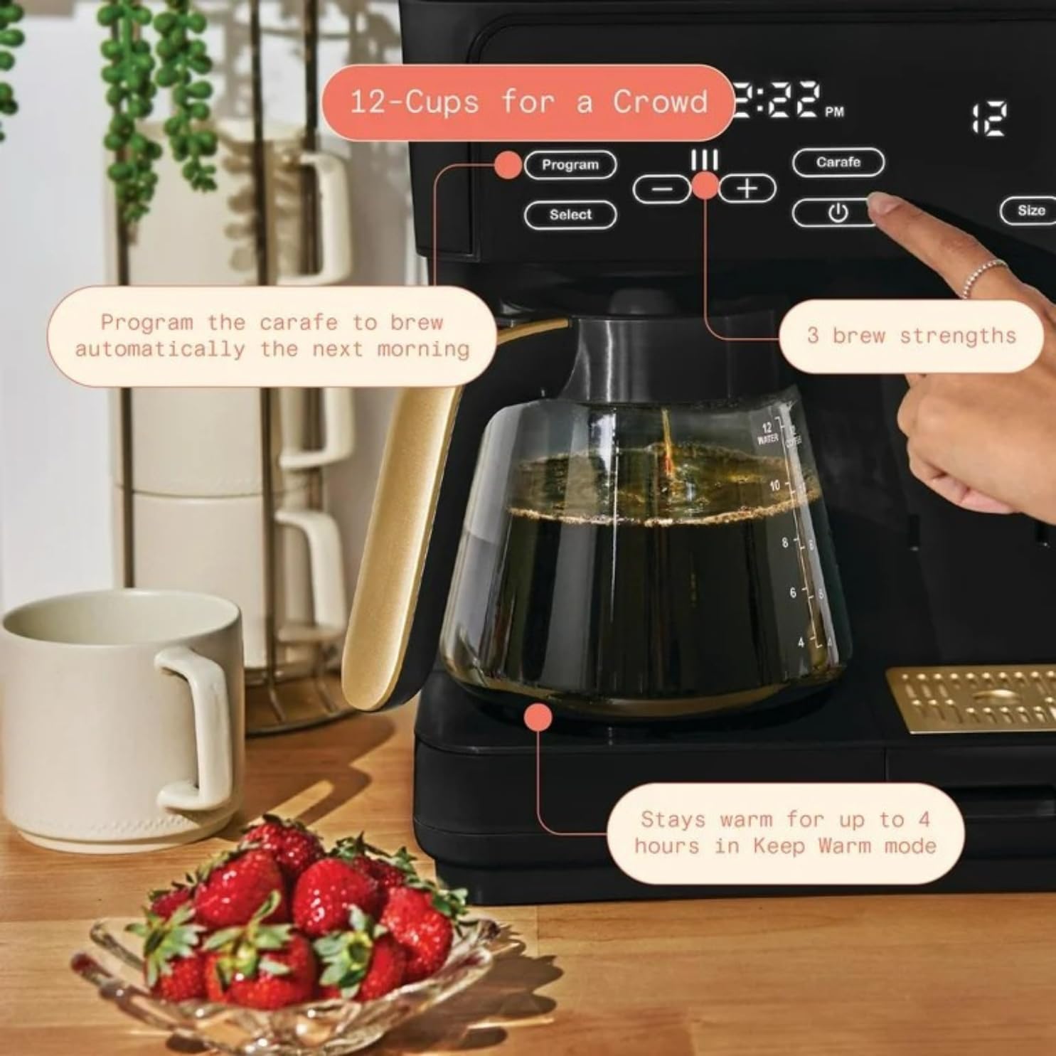Programmable 12-Cup & Single-Serve Multi-Brew Coffee Maker, Digital Controls, Large Capacity, Easy to Use