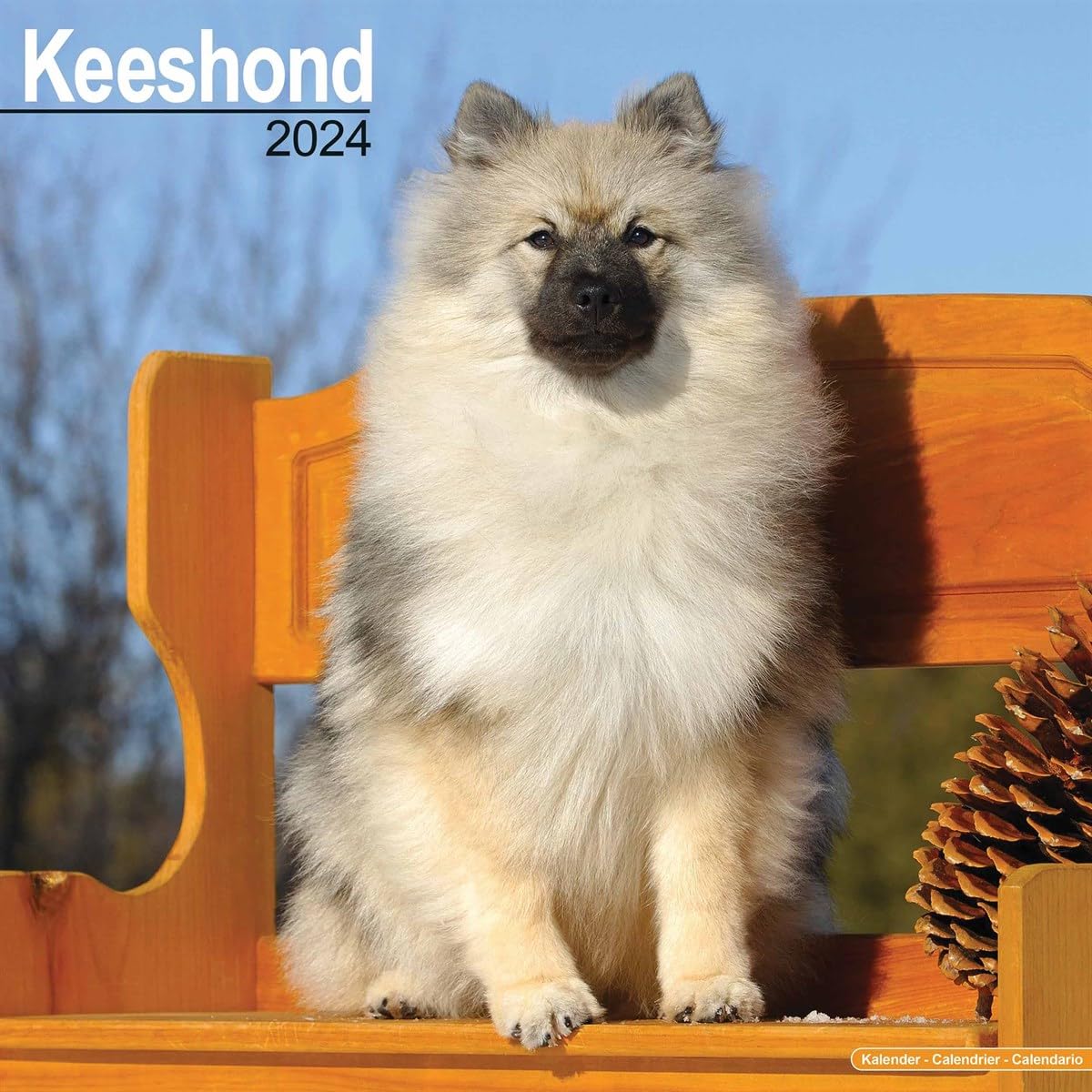 Keeshond Calendar 2024 | Square Dog Breed Wall Calendar - 16 Month