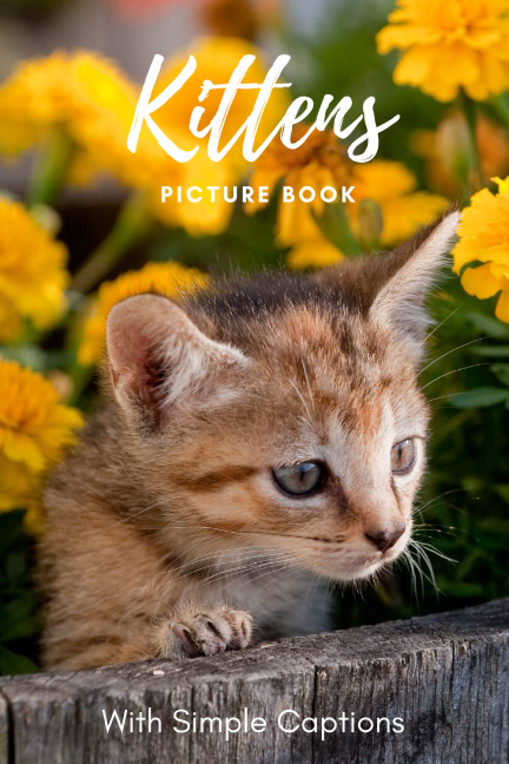Picture Book of Kittens: Book gift for dementia patients and seniors living with Alzheimer’s disease. Large print for adults with simple captions. (Picture Book for Dementia Patients)