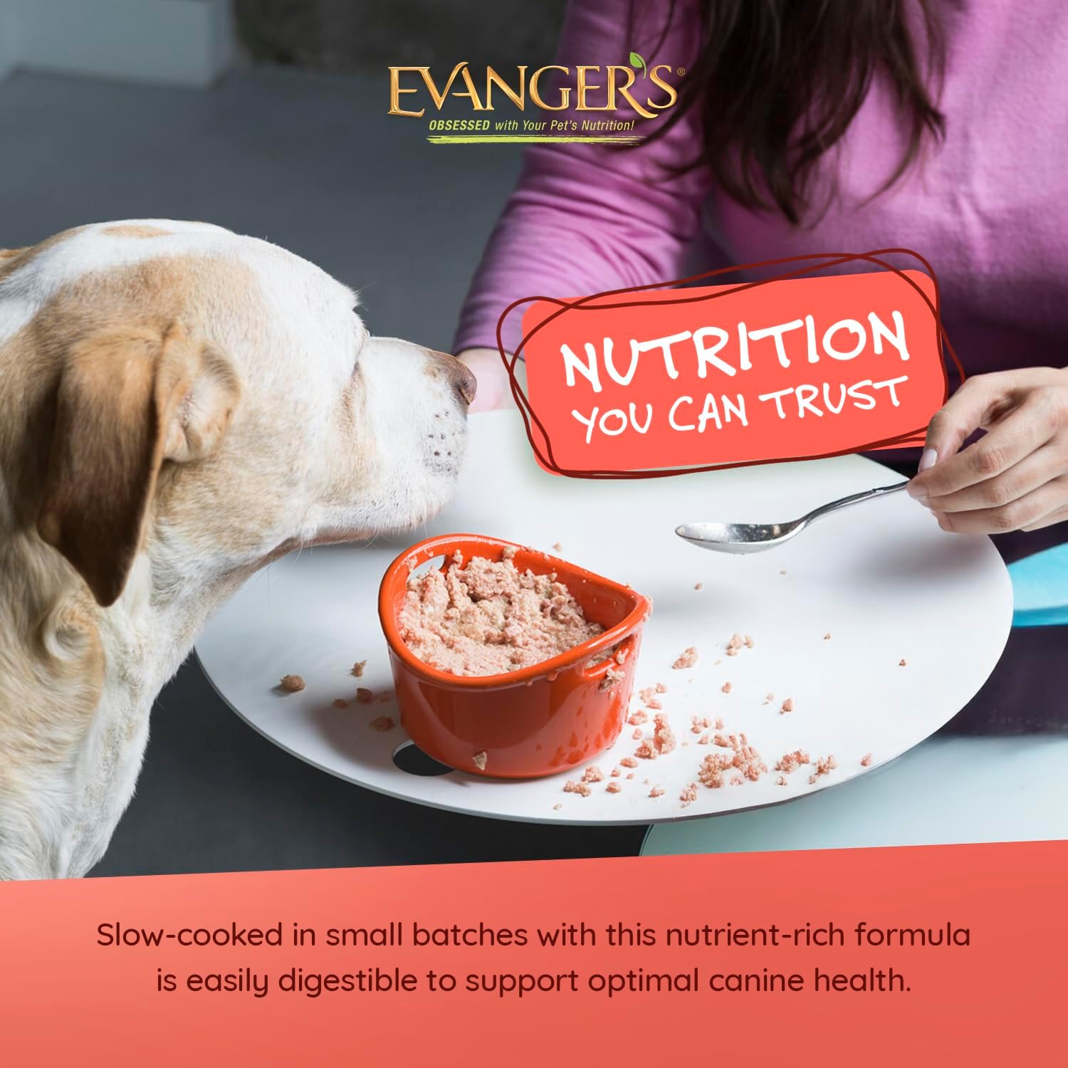 Evanger's Super Beef Dinner for Dogs – 12 Count, 12.5 oz Each – Grain Free Wet Dog Food with Spinach & Kale – All Life Stages – Limited Ingredient Diet