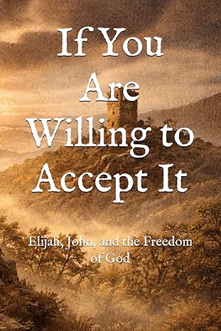 If You Are Willing to Accept It Book Cover