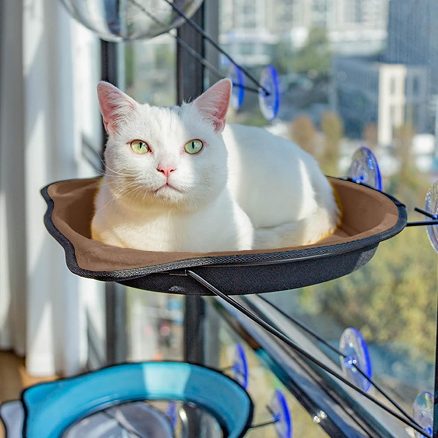 PHABULS Cat Window Bed, Cat Hammock Window Seat, Space Saving Window Mounted Cat Bed for Small Indoor Cat up to 28 lb with 4 Suction Cups