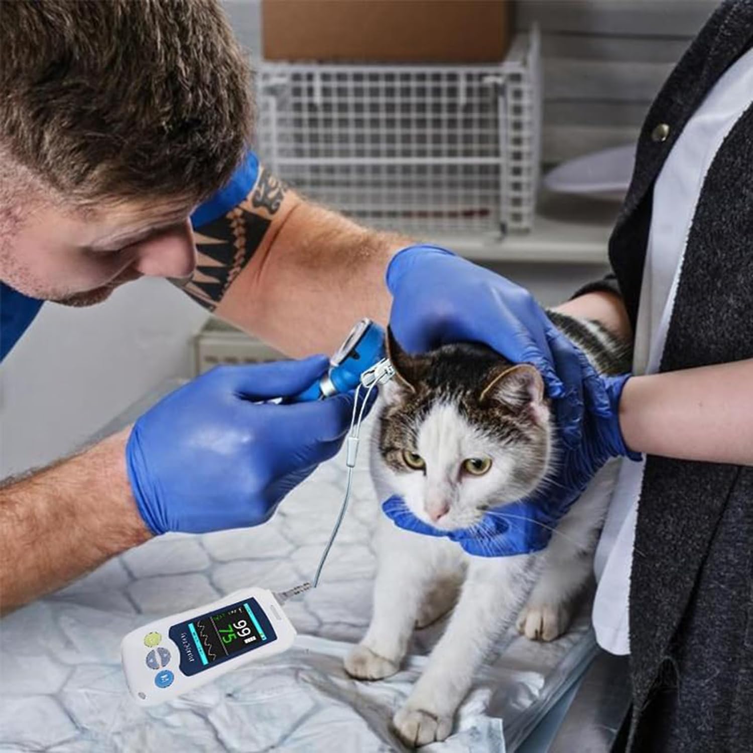 Pulsossimetro Veterinario, Pulsossimetro Veterinario Portatile Con Schermo Da 2,4 Pollici, Sonda Per Orecchio/lingua, Per Il Monitoraggio Di SpO2, Frequenza Cardiaca E Temperatura In Gatti, Cani E Pic