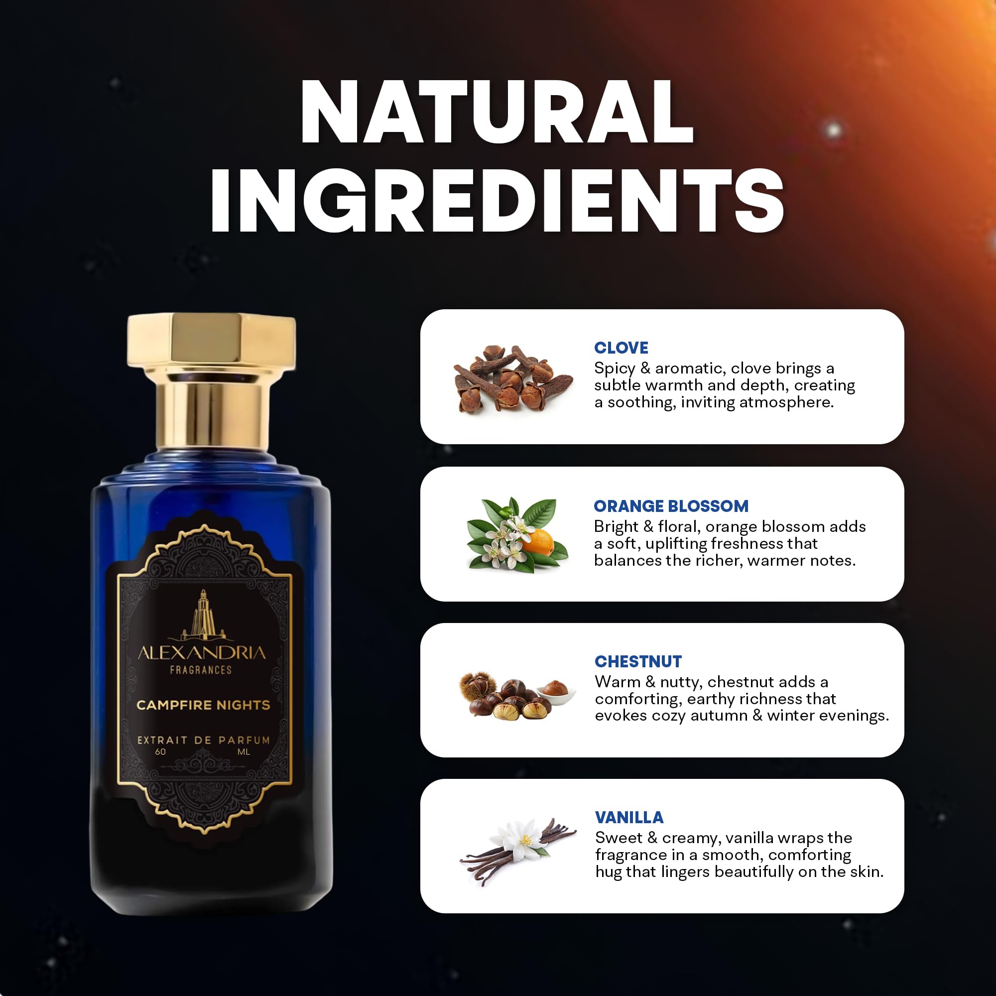 Amazon.com : Alexandria Fragrances Campfire Nights Perfume