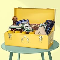 Vista 89 de Vixdonos Juego de 2 baúles decorativos de almacenamiento de caja de metal con asa (blanco con cierres de bronce)