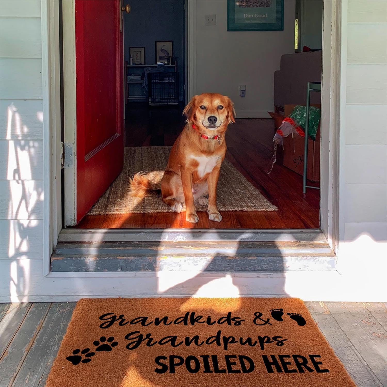 Funny Coir Doormat Grandkids And Grandpups Spoiled Here Dog Lover Welcome Front Porch Decor Mat For The Entrance Way Rugs with Heavy-Duty Backing Non Slip Outdoor Coconut Coir Doormats 30x18 inch