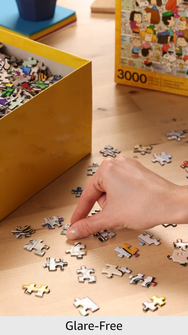 Amazon.com: Aquarius Peanuts Cast Puzzle (3000 Piece Jigsaw