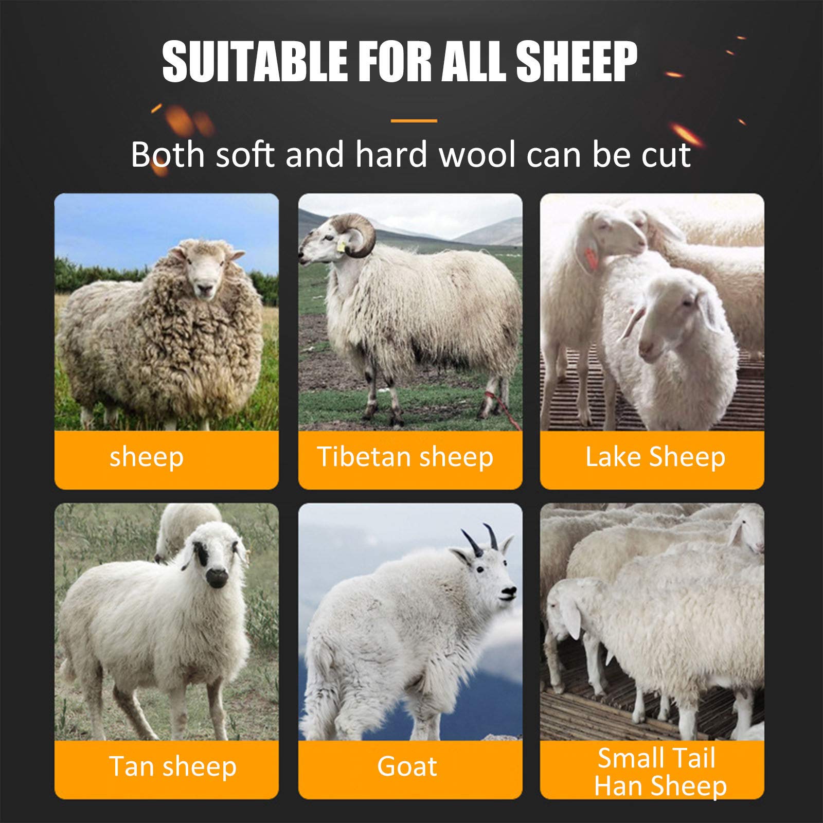 Esquiladora Ovejas, Cortapelos Eléctricos para El Cuidado de Animales para Alpacas, Camellos Y Animales Grandes de Pelo Grueso, Profesional Máquina Esquiladora