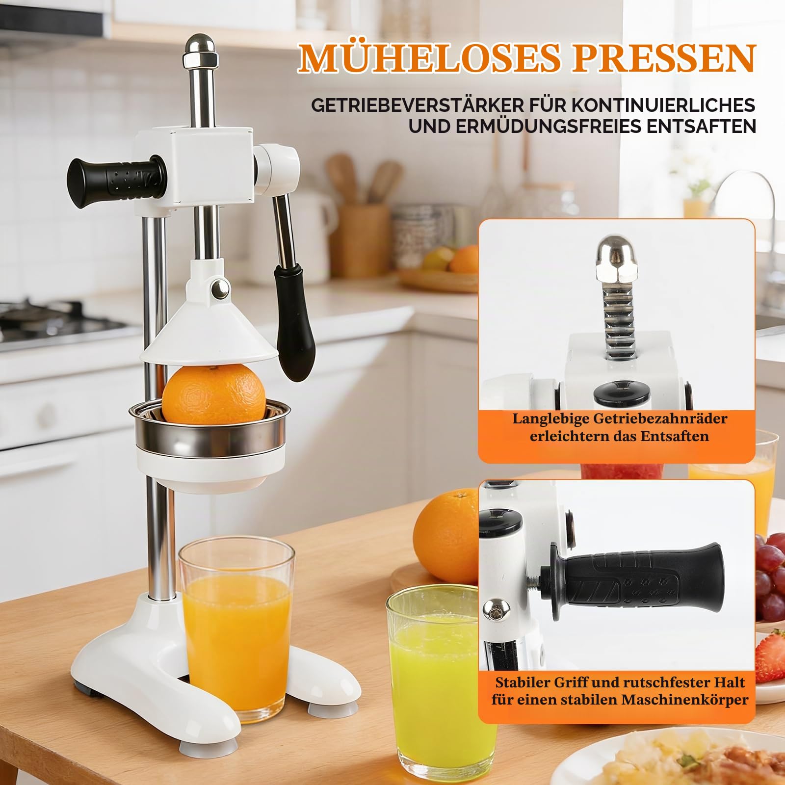 Saftpresse Manuell, Handpresse aus Edelstahl mit Zwei Druckplatten
