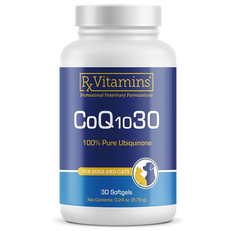 Rx Vitamins Suplemento antioxidante para cães e gatos com Coenzima Q10 - 30 cápsulas gelatinosas
