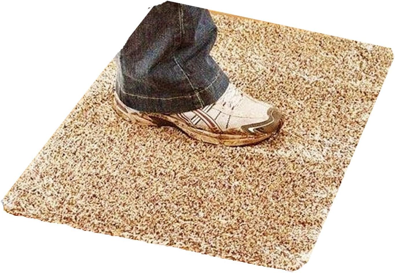 SystemsEleven Super Absorbant Magic Door Mat Microfibre Clean Step