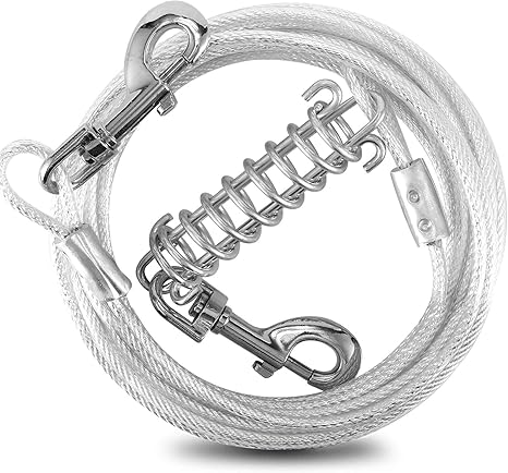 dog leads for outside