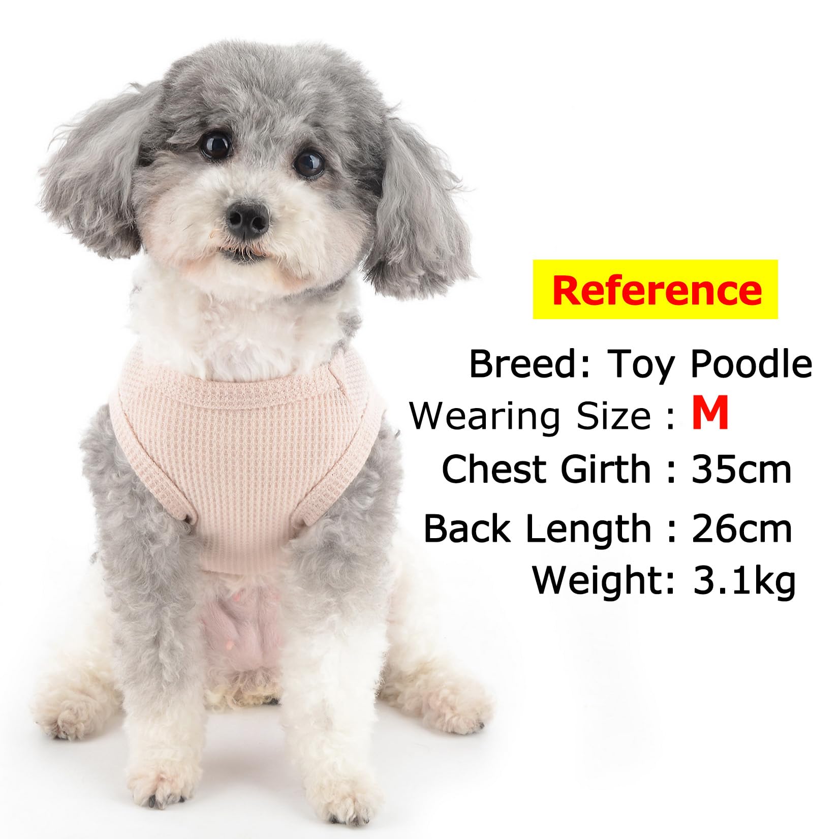 Zunea Dog Shirts for Small Dogs Summer Vest T-Shirt Soft Breathable Puppy Clothes Basic Tee Shirt Pet Sleeveless Tank Top Chihuahua Yorkie Cat Sweatshirt Apparel Beige M - Image 3