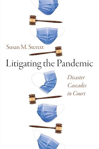 Litigating the Pandemic: Disaster Cascades in Court (Critical Studies in Risk and Disaster)