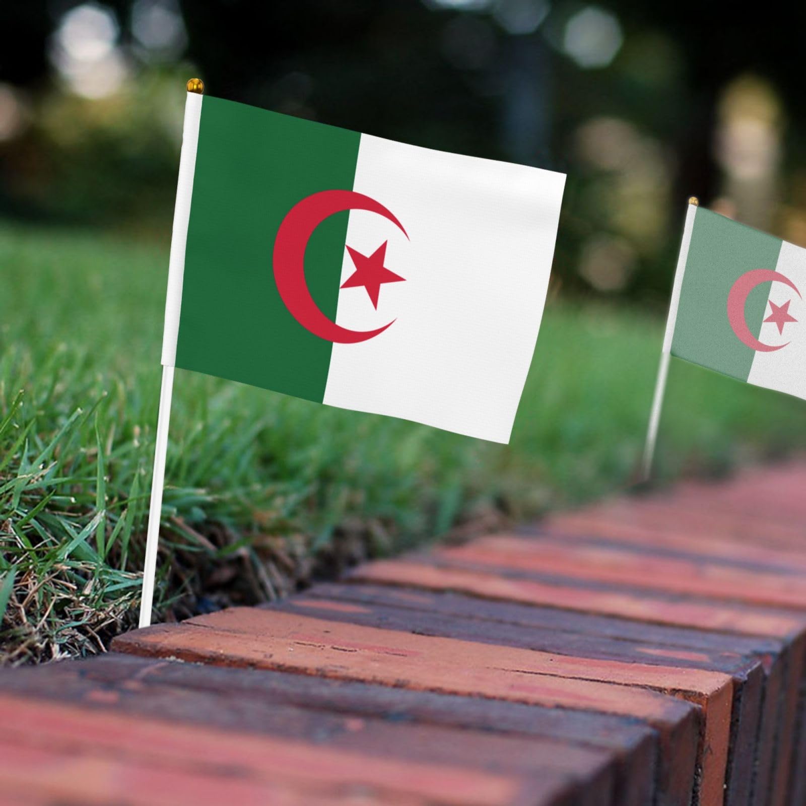 Lot de 10 petits drapeaux de l'Algérie à main, mini drapeaux sur bâton pour fête, activités d'équipe, défilés, décoration de vacances